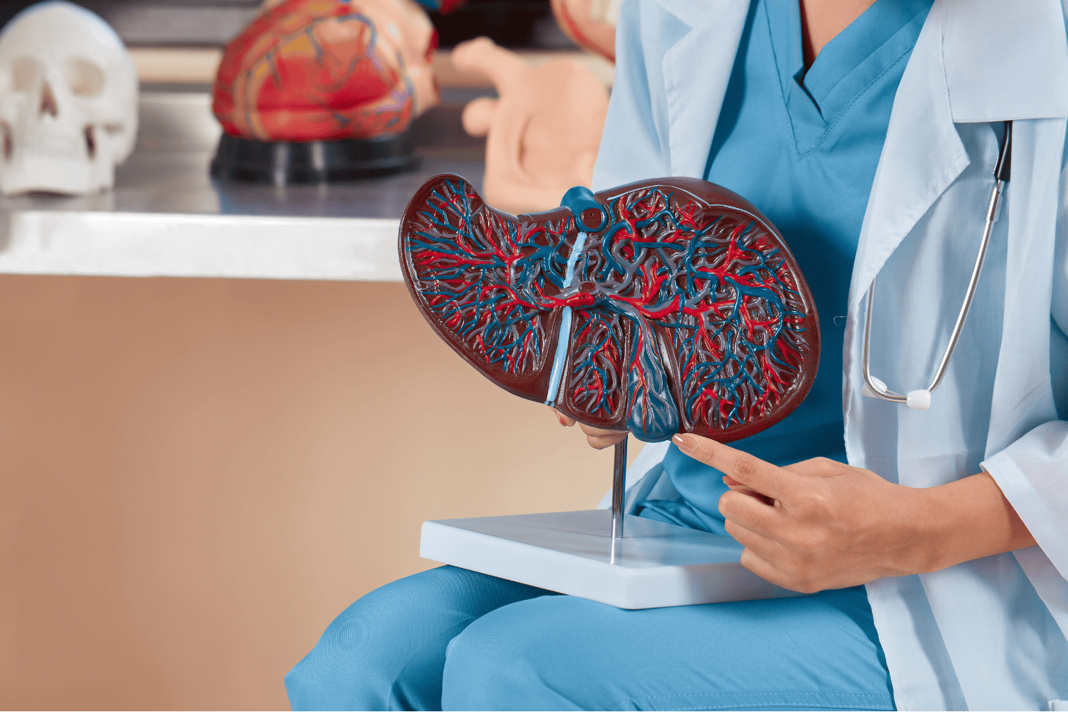 Vip elderly liver