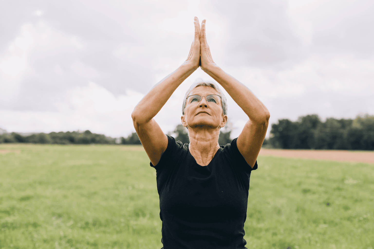 Vip elderly tai chi