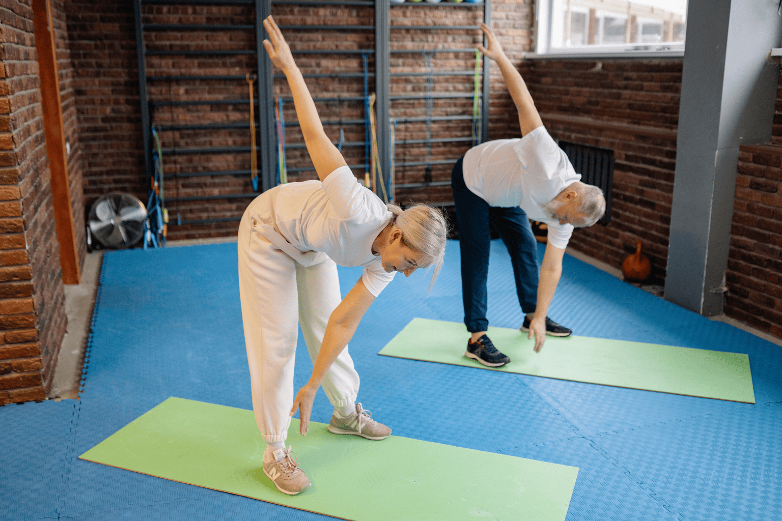 Vip elderly winter exercises