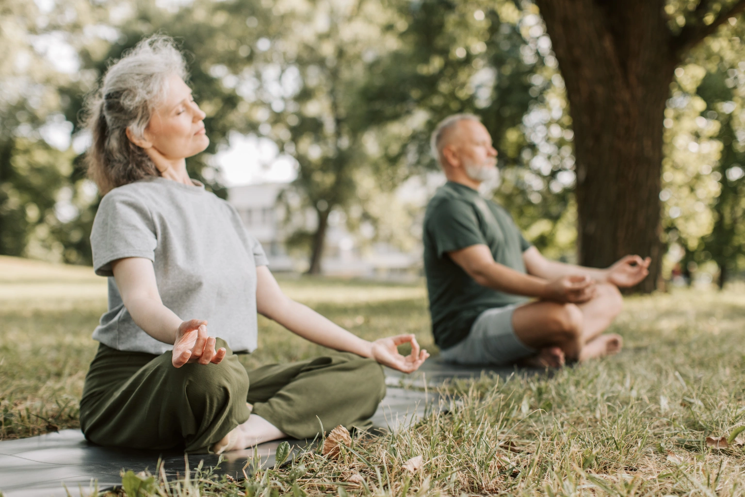 Vip elderly breathing exercises for seniors